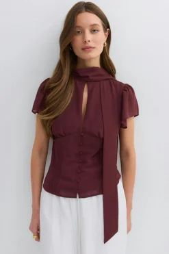 Gina Tricot Sheer blouse Brun New
