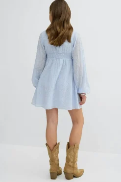 Gina Tricot Y embroidery dress Grå Sale